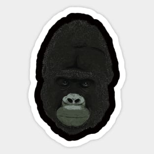 Gorilla Sticker